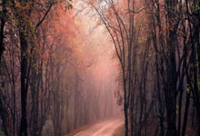 上港在中超所向无敌,为何一碰到申花就立刻变怂,主要有3点原因