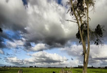 上港在中超所向无敌，为何一碰到申花就立刻变怂，主要有3点原因