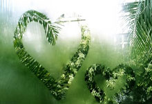 上港在中超所向无敌,为何一碰到申花就立刻变怂,主要有3点原因