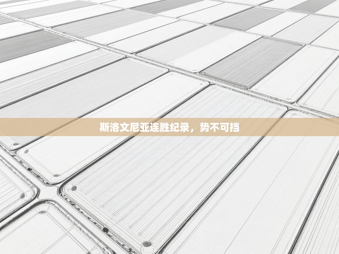 斯洛文尼亚连胜纪录，势不可挡  第1张