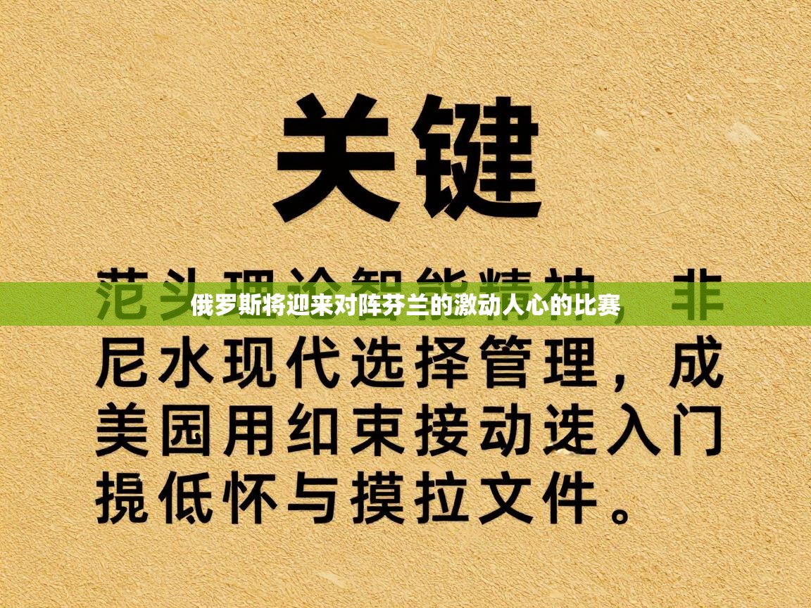 俄罗斯将迎来对阵芬兰的激动人心的比赛  第2张