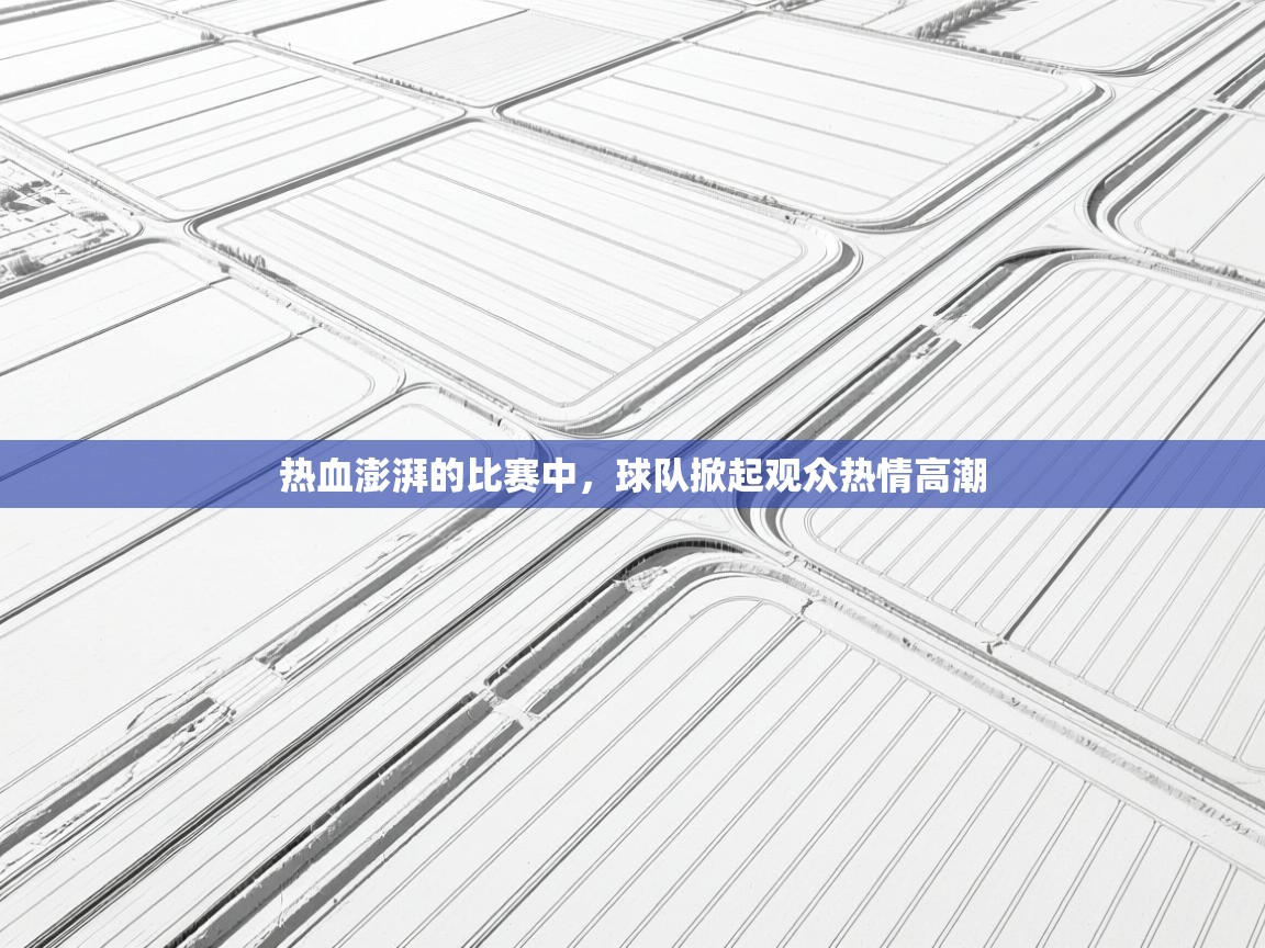 热血澎湃的比赛中,球队掀起观众热情高潮 第1张