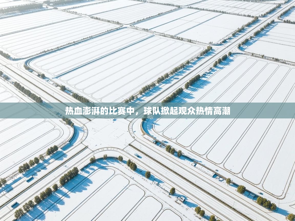 热血澎湃的比赛中,球队掀起观众热情高潮 第2张