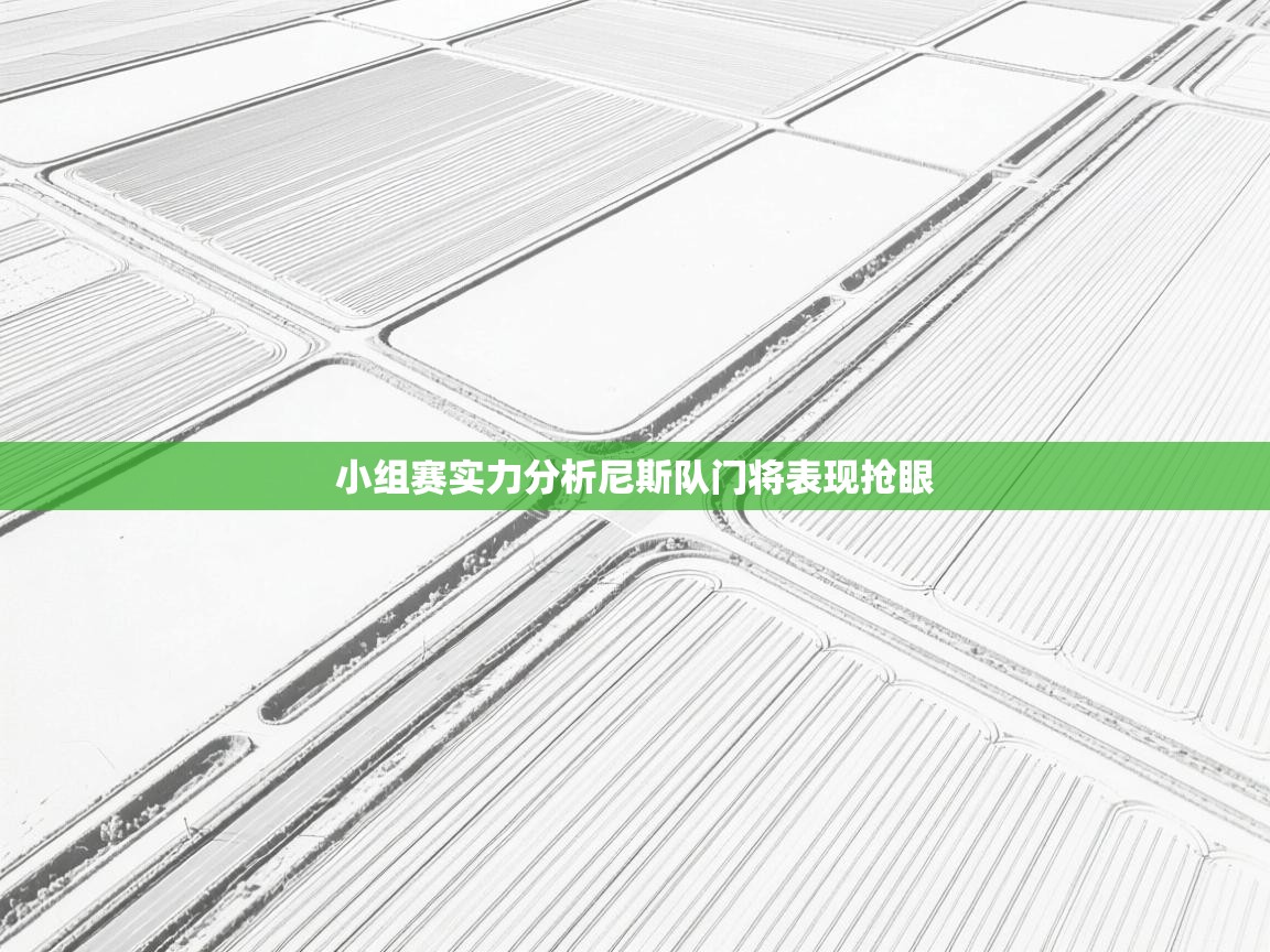 小组赛实力分析尼斯队门将表现抢眼